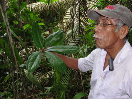 don beto cocom