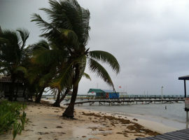 hurricane_ernesto_all_clear_04_jpg_11401
