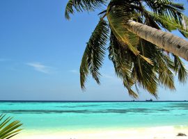 white-sandy-beach