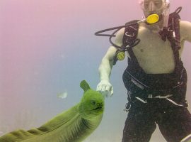 scuba diving in belize