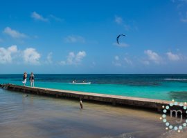 The Best of Caye Caulker Belize mjlewis.cc.008