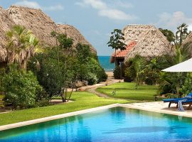 Travels in Belize: Eco-Tourism, Mayan Temples, Snakes That Chase You, Pasta with Coppola turtleinnbelize