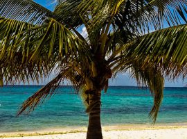 Tropical retirement: a new favourite destination beach-laughing-bird-caye-belize-400