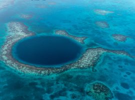 Wildlife at Belize Resort Pushed by Travolta Could Have Trouble Stayin’ Alive greatblueholebelize