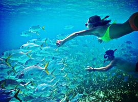 3 Adventures Not to Be Missed in Belize snorkeling in belize