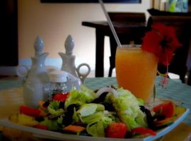 A Vegan Paradise at Mariposa Jungle Lodge Belize Mariposa Jungle Lodge Belize