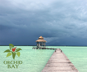 Orchid-Bay-300x250-banner.gif
