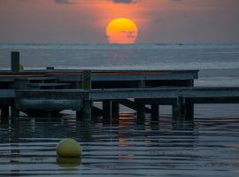 ambergris caye belize