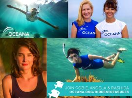 oceana belize