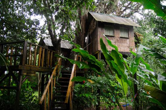 parrot-nest-lodge