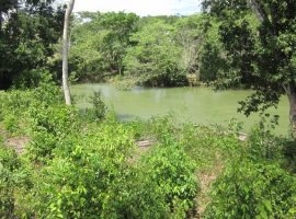 belize real estate