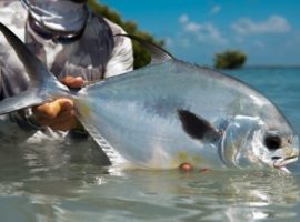 Caribbean Fisherfolk Day celebrated with awards and documentaries fishing in belize