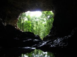 Rio Frio Cave in the Mountain Pine Ridge Rio-Frio-Cave Belize