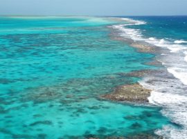 Belize Drops Proposal for Offshore Oil Drilling on World’s Second Largest Barrier Reef Turneffe-Atoll Reef Belize