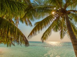 Kanantik Belize Debuts and Introduces the First Model for Affordable, Sustainable Master-Planned Community Living in Coastal Southern Belize belize real estate