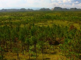 15 Mind-Blowing Belize Landscapes belize nature reserve