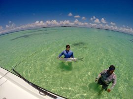 fly fishing in belize