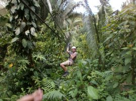 Zipline & Waterfall Rappelling at Mayflower Bocawina National Park