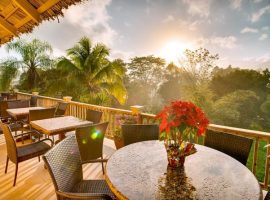 sleeping giant rainforest resort