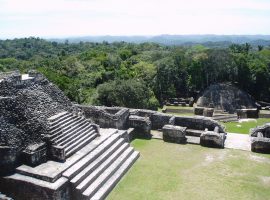 Uncovering the Secrets of the Past: A Journey to the Majestic Caracol Mayan Ruins Caracol Mayan Ruins in Belize