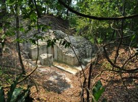 Discovering the ancient wonders of El Pilar Maya Ruins in Belize El Pilar Mayan Ruins - Hidden Beneath The Belize Jungle