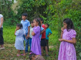 mayan children belize