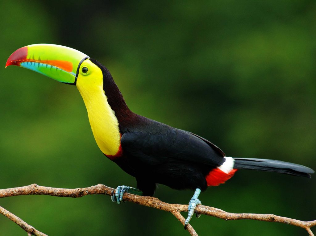 Why Visit Belize in May | The Best Times to Visit Belize