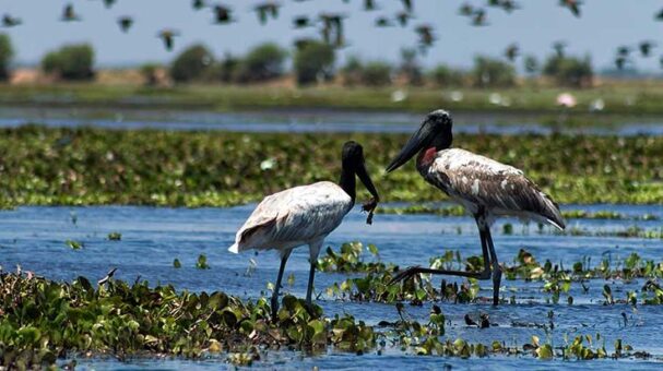 things to see and do in belize