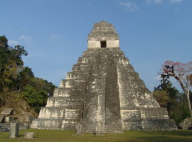 Unveiling the Wonders of Tikal: A Memorable Tour from Belize Tikal from Belize