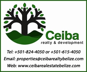 ceiba realty
