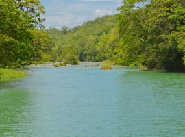 mopan river in belize