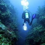 Scuba Dive Turneffe Atoll in Belize