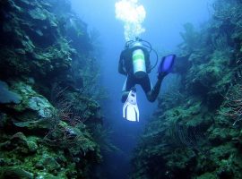 Scuba Dive Turneffe Atoll in Belize