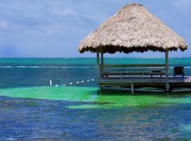 ambergris caye belize