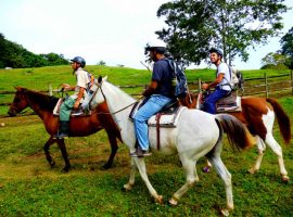 horseback riding tours belize