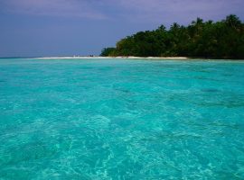 snake caye belize