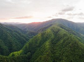 Angel Falls Extreme Zipline & Rappelling