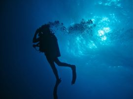 Exploring the Atolls of Belize Belize Atolls