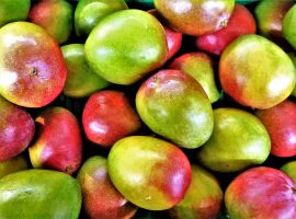 Come out to the Hopkins Mangu Fest 2018! Hopkins Mango Festival
