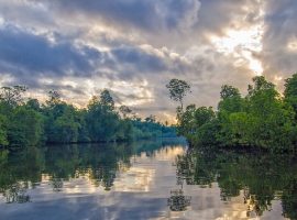 Payne's Creek National Park - What You Need to Know Before You Visit Payne's Creek National Park Belize