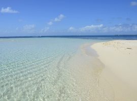 Belize Real Estate Investing: The Time is Right to Make Your Move Belize Real Estate Investment: