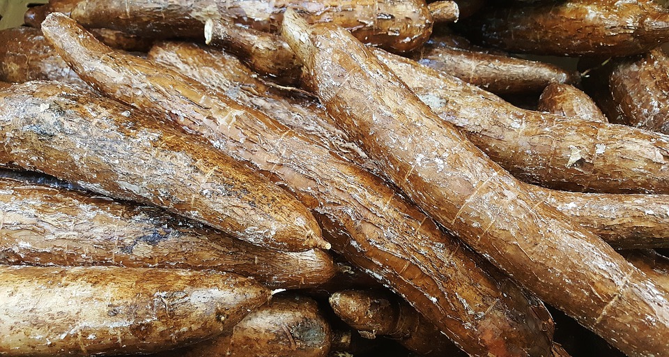 cassava bread belize