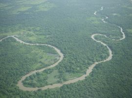the belize river