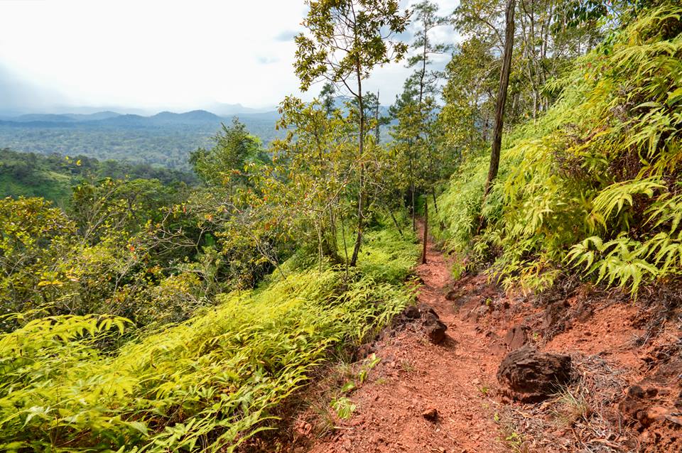 Hiking in Belize - The 10 Best Hiking Spots in Belize - Vimarsana News