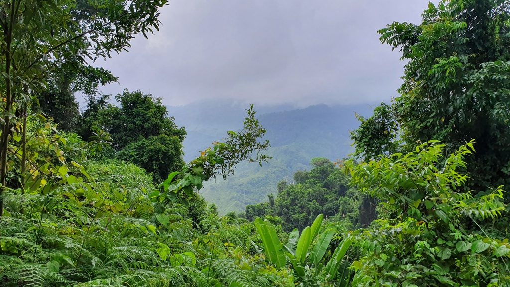 Discover Bladen Nature Reserve in Belize