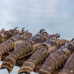 Lobsterfest In Belize