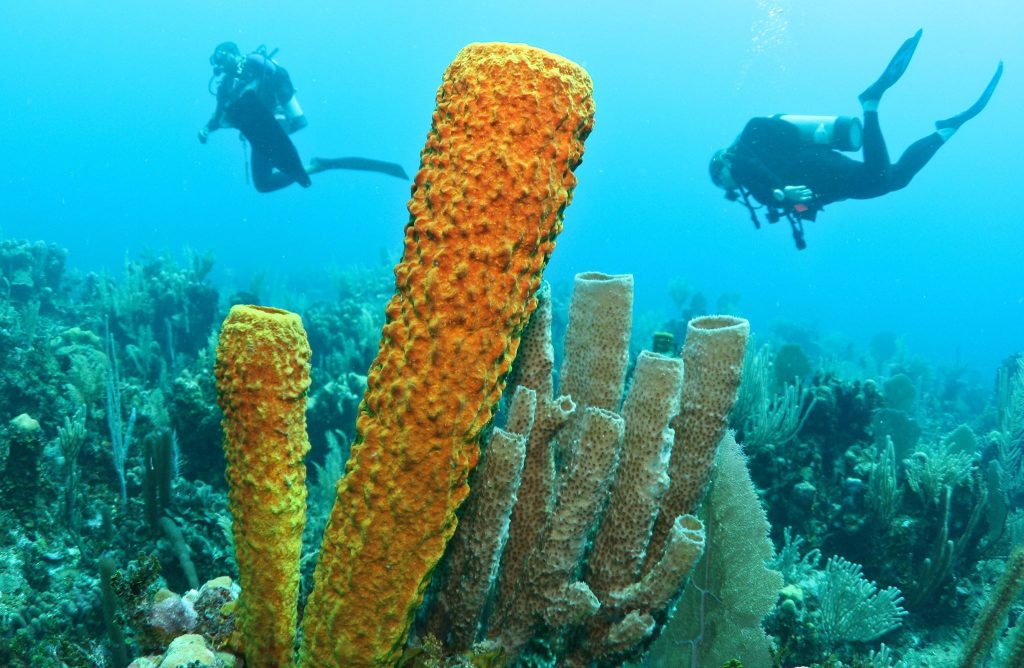 summer travel belize