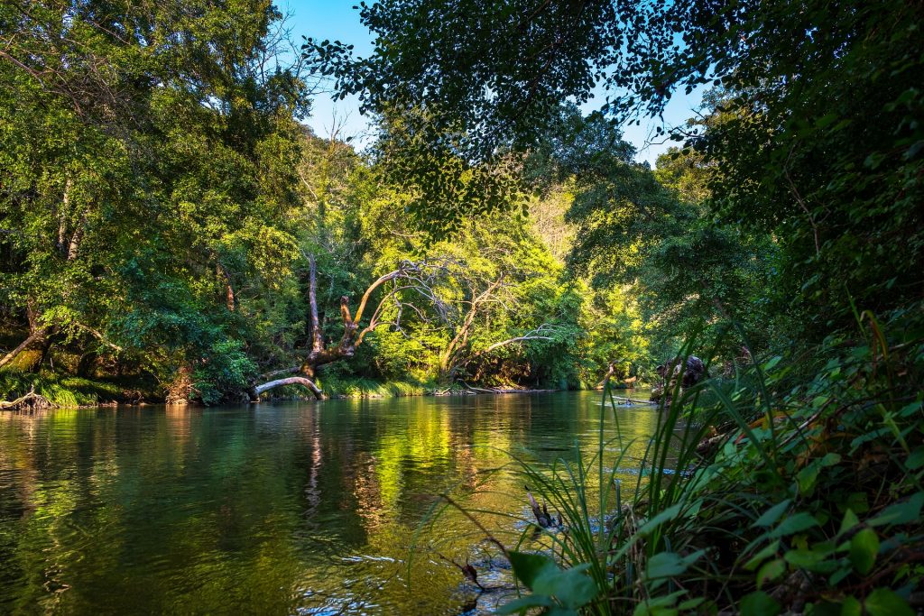 Belize Rivers - Everything You Need To Know About Belize Rivers