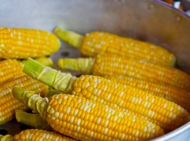 Belize: Burial Site Reveals Humans First Starting Eating Maize Belize Burial site reveals humans first starting eating maize