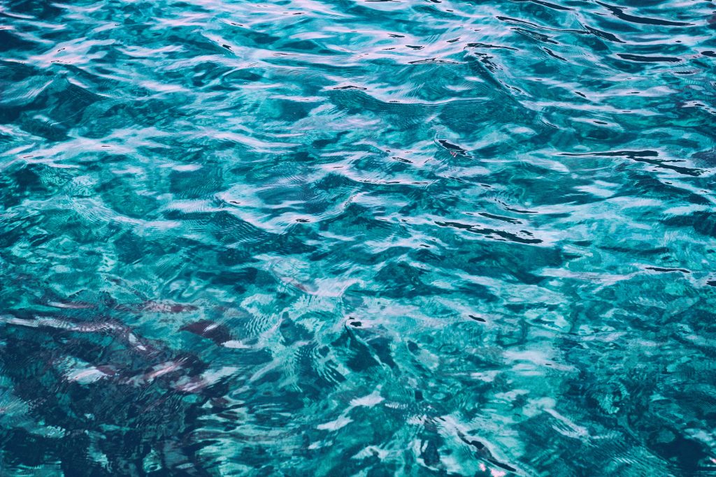 lighthouse reef in belize best spot for snorkeling